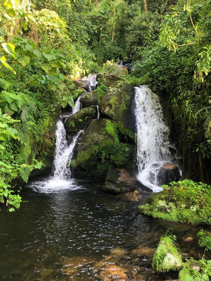 Mbunga Community Tourism Campsite Kasese Eksteriør bilde